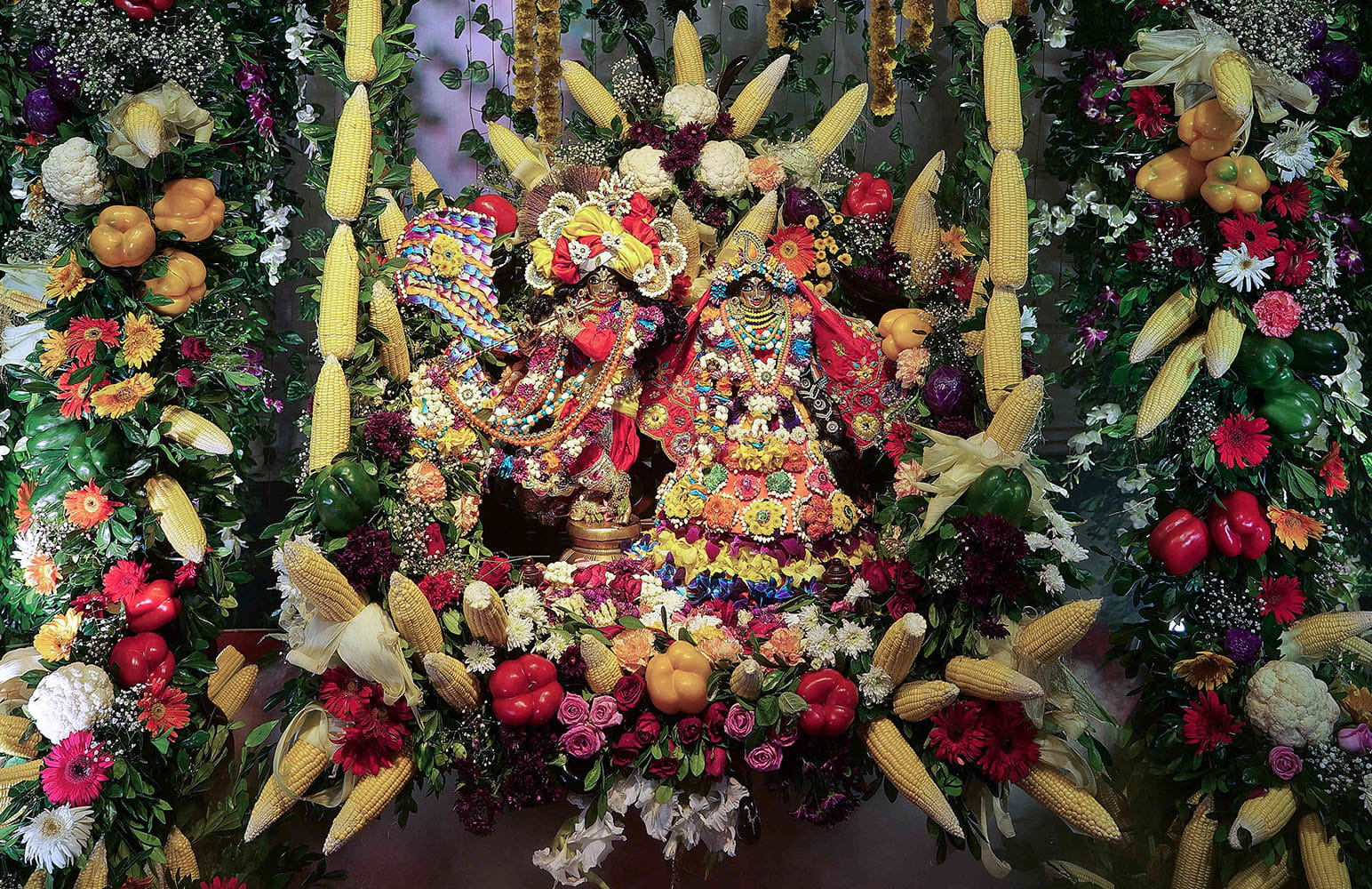 Jhulan Utsav 2026 Day 4